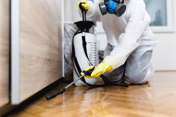 Best Affordable Pest Control Services  in Gibson, AR