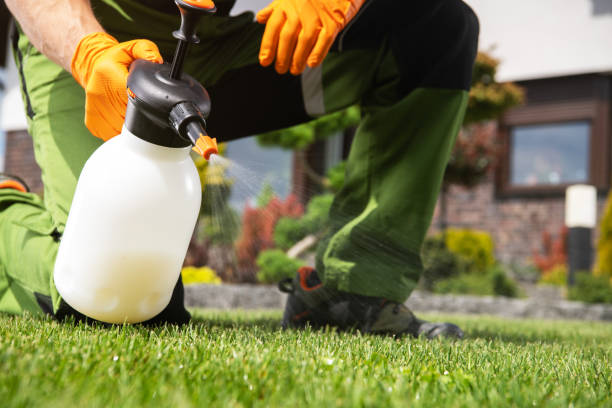 Best Flea Control Services  in Gibson, AR