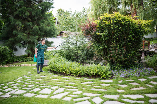Best Affordable Pest Control Services  in Gibson, AR