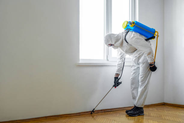 Best Commercial Pest Control Services  in Gibson, AR