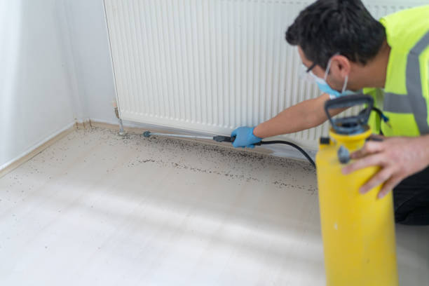 Best Commercial Pest Control Services  in Gibson, AR