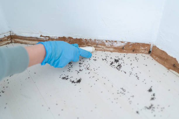 Pest Prevention Services in Gibson, AR