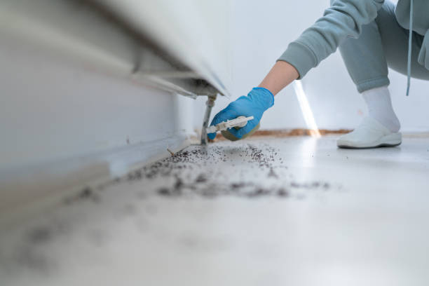 Best Insect Control  in Gibson, AR