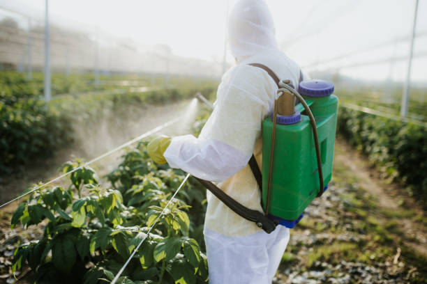 Best Local Pest Control Services  in Gibson, AR